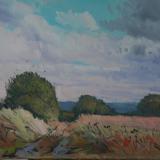 Chilmark Fields, Wiltshire