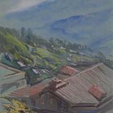  Rooftops,Darjeeling.India